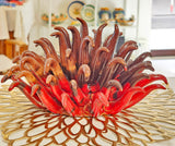 Anemone di mare in ceramica siciliana