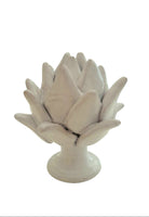 Carciofo bianco