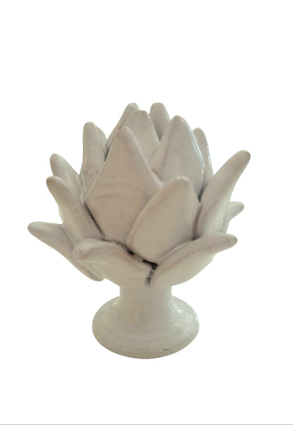 Carciofo bianco