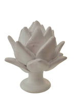 Carciofo bianco