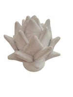 Carciofo bianco