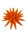 Riccio di mare in ceramica Siciliana diametro circa 15 cm