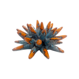 Riccio di mare in ceramica Siciliana diametro circa 10 cm