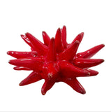 Riccio di mare in ceramica Siciliana diametro circa 10 cm