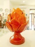 Carciofo arancione h 21-22