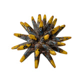 Riccio di mare in ceramica Siciliana diametro circa 10 cm