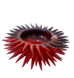 Riccio aperto blu-rosso 30x10 cm circa