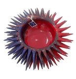 Riccio aperto blu-rosso 30x10 cm circa