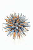 Riccio indaco-arancione 21 cm, h 13 cm