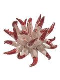 Anemoni, 2 colori, 13x8 cm