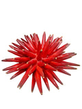 Riccio di mare in ceramica Siciliana diametro circa 20 cm
