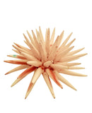 Riccio di mare in ceramica Siciliana diametro circa 20 cm