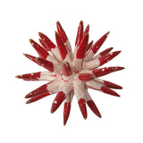 Riccio di mare in ceramica Siciliana diametro circa 15 cm
