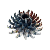 Anemone di mare in ceramica siciliana