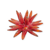 Riccio di mare in ceramica Siciliana diametro circa 10 cm