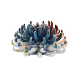 Anemone di mare in ceramica siciliana