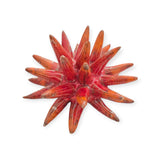 Riccio di mare in ceramica Siciliana diametro circa 10 cm